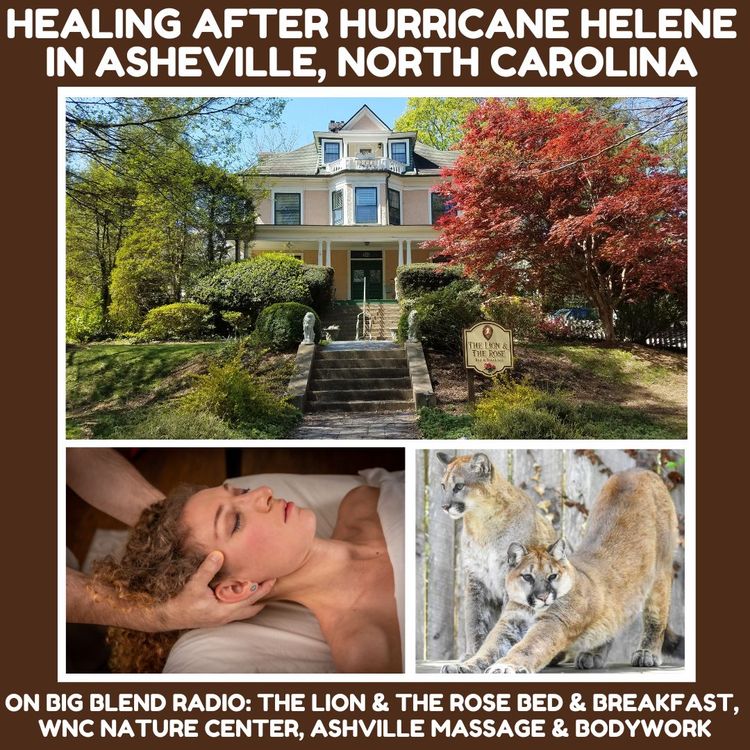 cover art for Healing After Hurricane Helene in Asheville and Beyond - Part 2