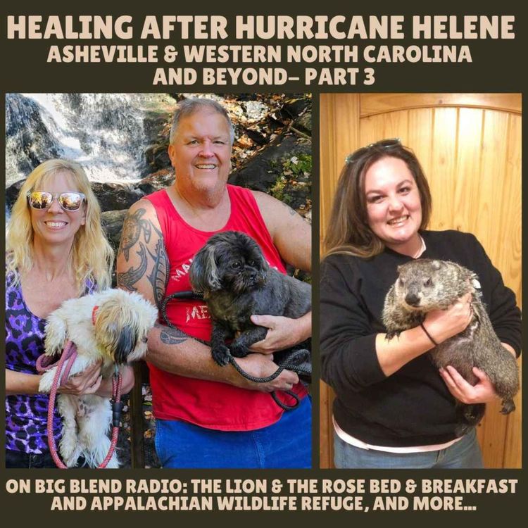 cover art for Healing After Hurricane Helene in Asheville and Beyond - Part 3