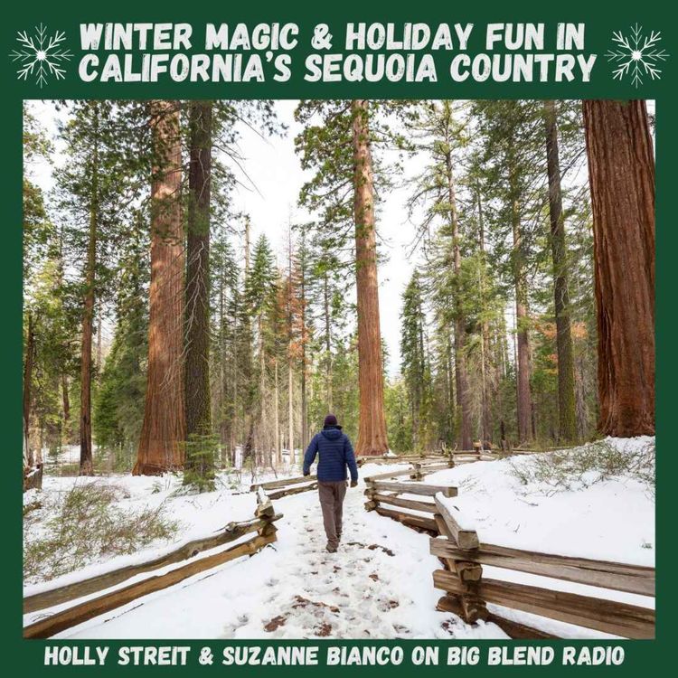 cover art for Winter Magic and Holiday Fun in California's Sequoia Country