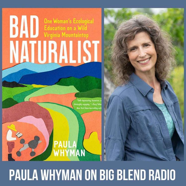 cover art for Paula Whyman - Bad Naturalist