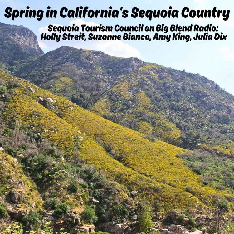 cover art for Spring in California’s Sequoia Country