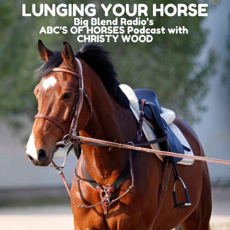 cover art for Lunging Your Horse