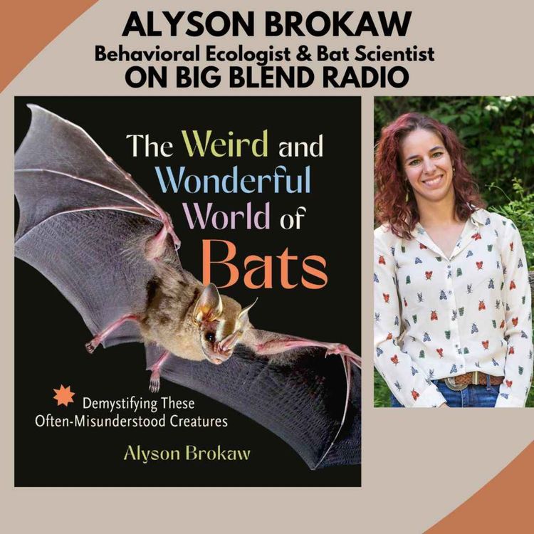 cover art for The Weird and Wonderful World of Bats