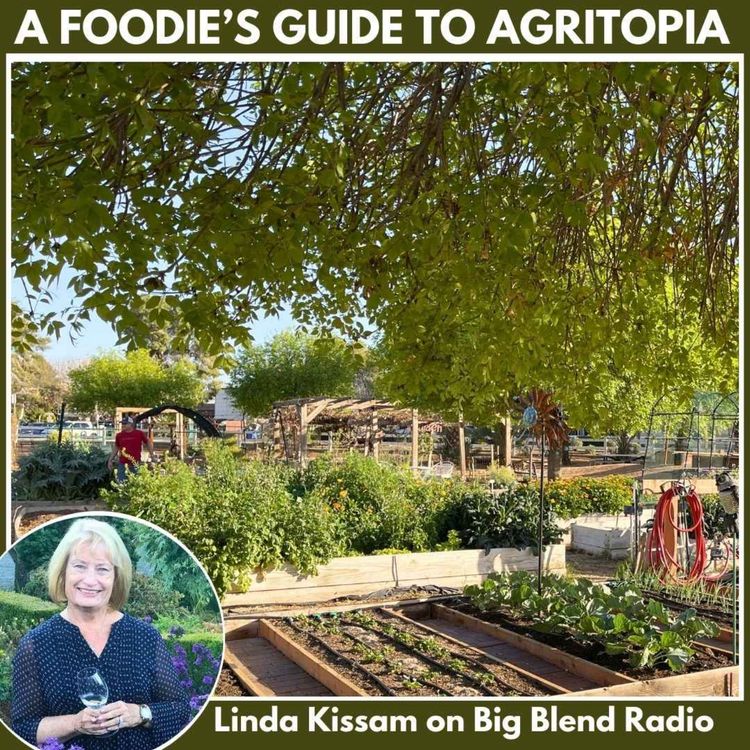 cover art for A Foodie's Guide to Agritopia in Gilbert, Arizona