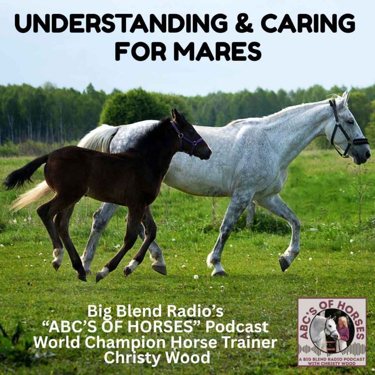 cover art for Understanding and Caring for Mares