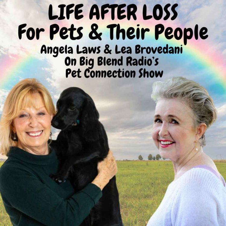 cover art for Life After Loss For Pets and Their People