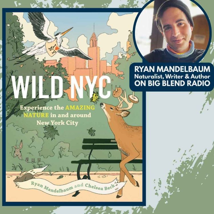cover art for Discover NYC's Hidden Nature with Ryan Mandelbaum