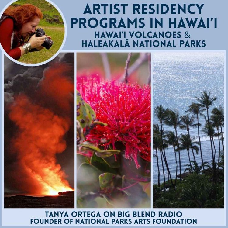 cover art for Artist Residency Programs in Hawai'i National Parks