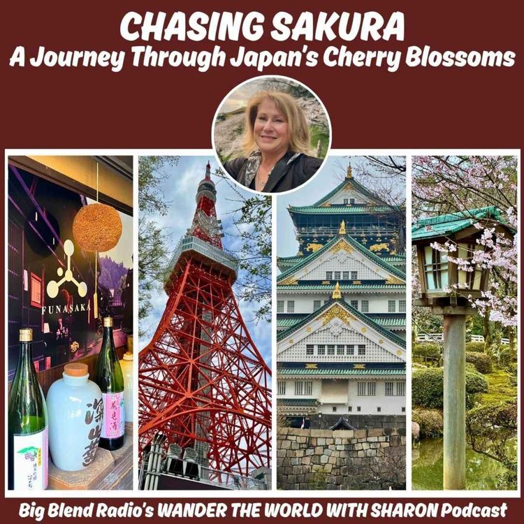 cover art for Chasing Sakura in Japan – A Cherry Blossom Journey