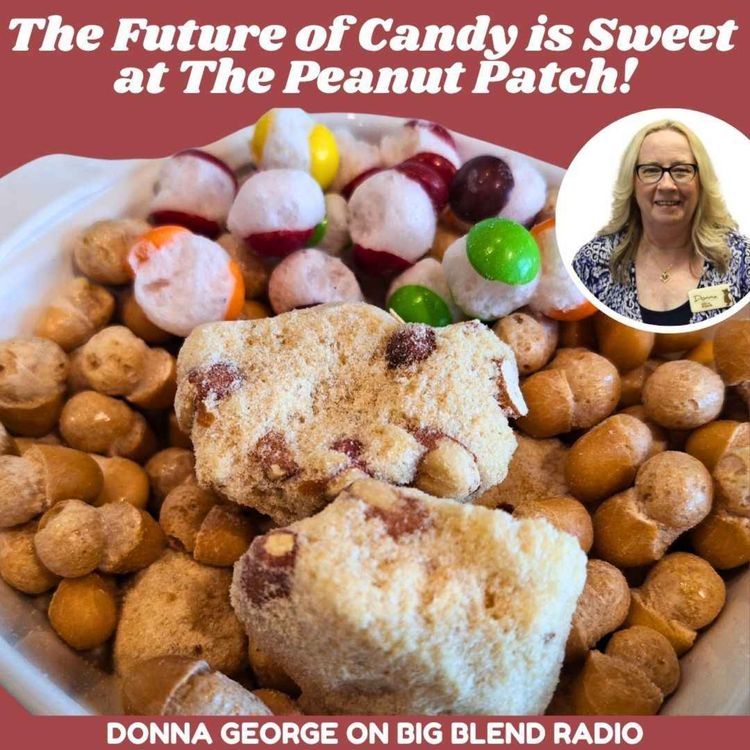 cover art for The Future of Candy is Sweet at The Peanut Patch