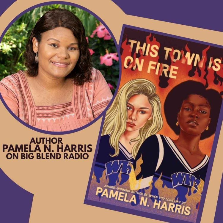 cover art for YA Author Pamela N. Harris - This Town is on Fire