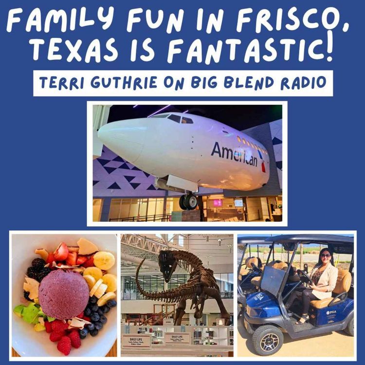 cover art for Family Fun in Frisco, Texas is Fantastic