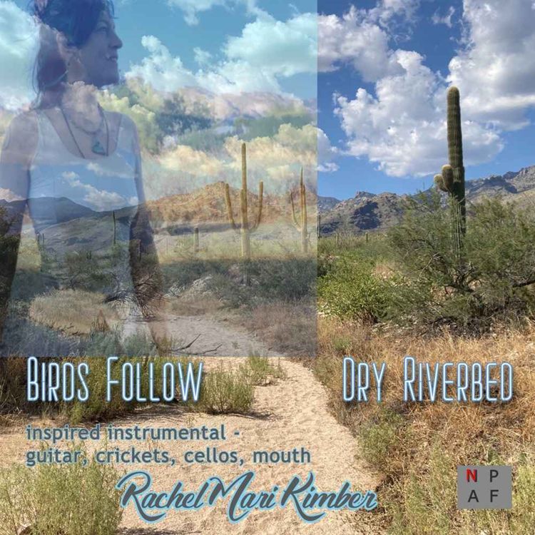 cover art for Rachel Mari Kimber’s Desert Soundscape: Birds Follow Dry Riverbed