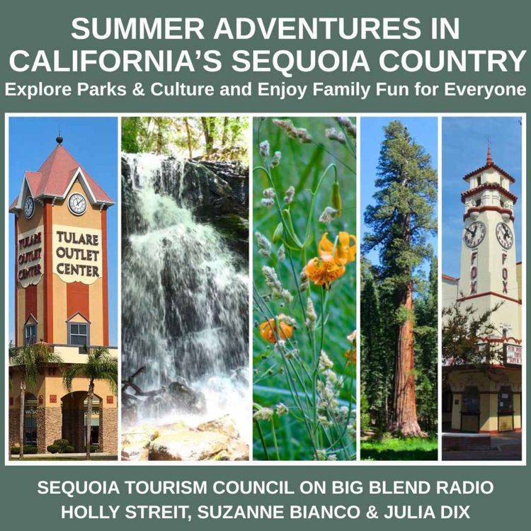 cover art for California Sequoia Country: Summer Adventures & Community Culture