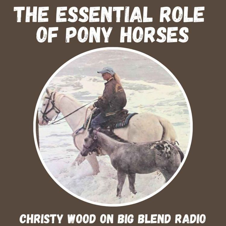cover art for The Essential Role of Pony Horses