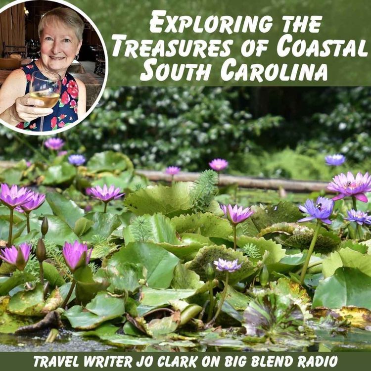 cover art for Exploring the Treasures of South Carolina's Coast