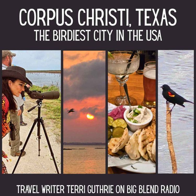 cover art for Corpus Christi, Texas: The Birdiest City in the USA