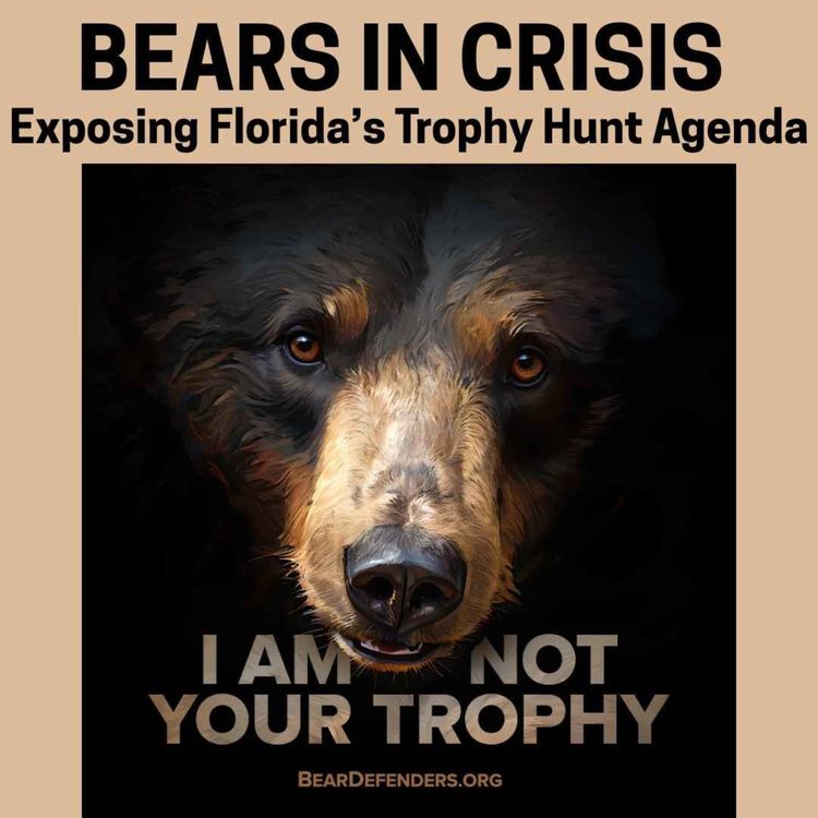 cover art for Bears in Crisis: Exposing Florida’s Trophy Hunt Agenda