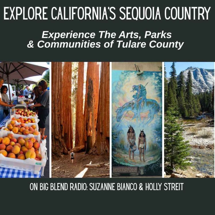 cover art for Discover California's Sequoia Country: Nature, Parks & The Arts