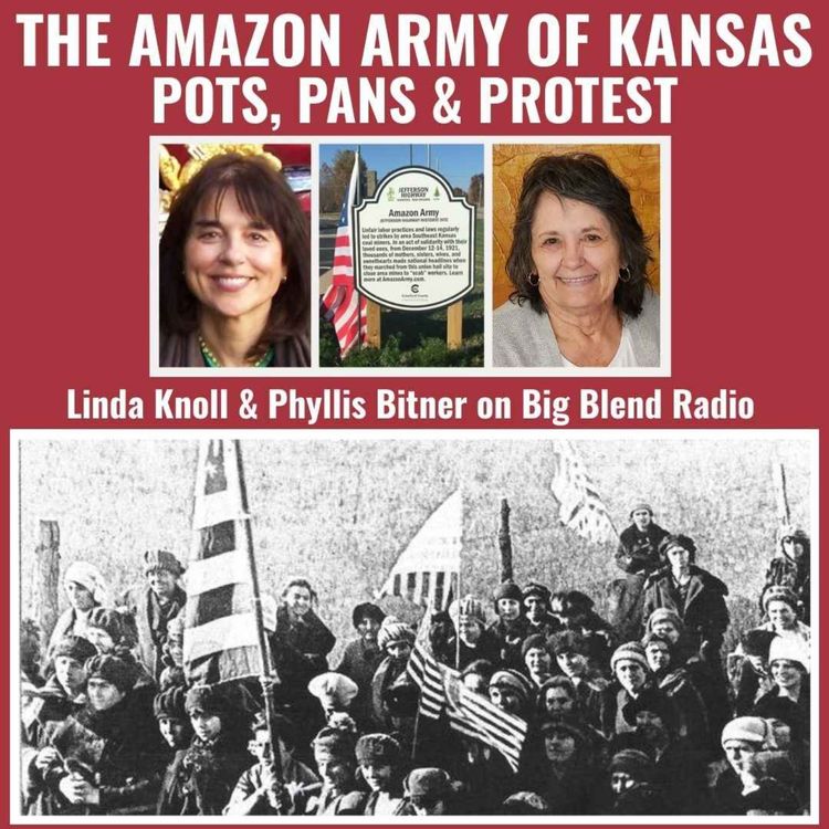 cover art for Pots, Pans, and Protest: The Amazon Army of Kansas