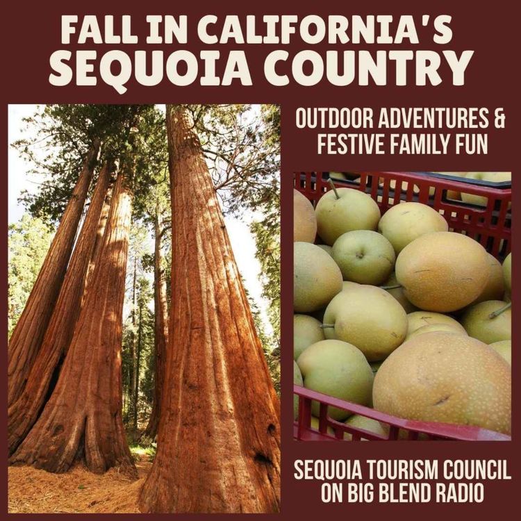 cover art for Fall in California’s Sequoia Country: Outdoor Adventures and Festive Family Fun