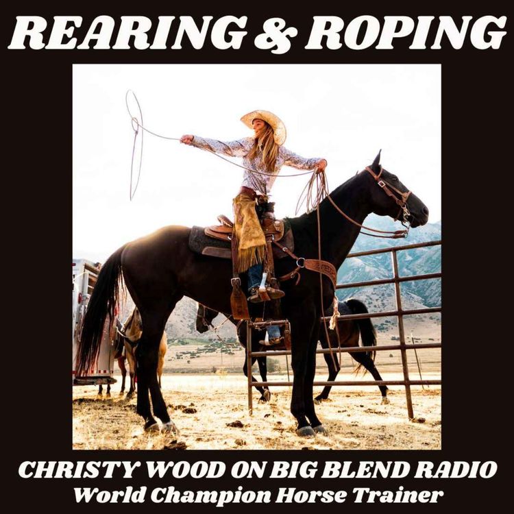 cover art for Horse Behavior: Rearing and Roping Explained