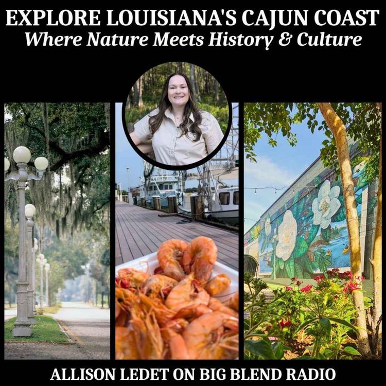 cover art for Exploring Louisiana's Cajun Coast