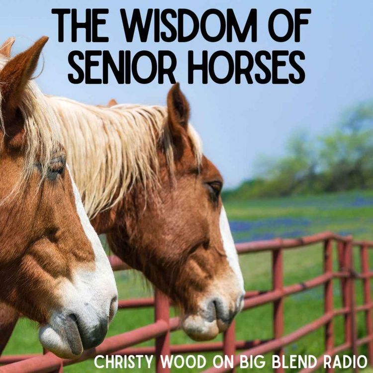 cover art for The Wisdom of Senior Horses