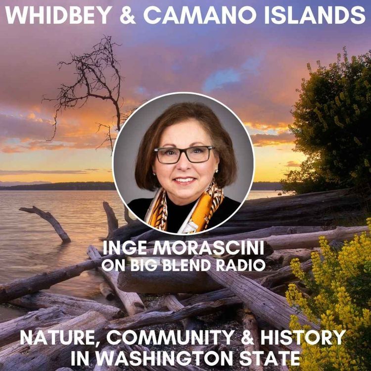 cover art for Discover Whidbey & Camano Islands: Nature, Community & History in Washington State