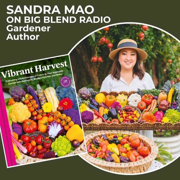cover art for Vibrant Harvest: Growing a Kaleidoscope of Color in Your Garden