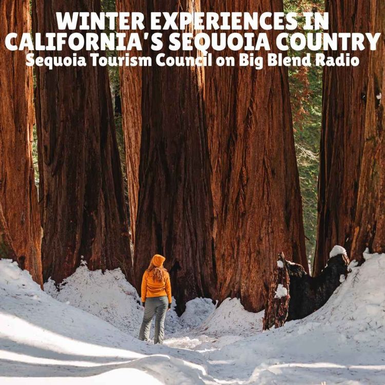 cover art for Winter Experiences in California's Sequoia Country