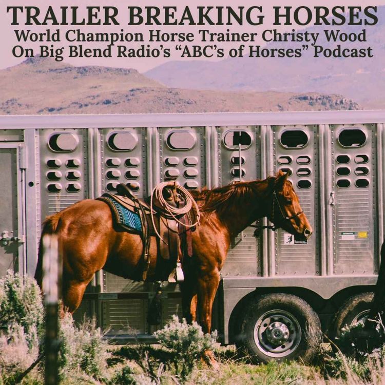cover art for Mastering How to Trailer Horses