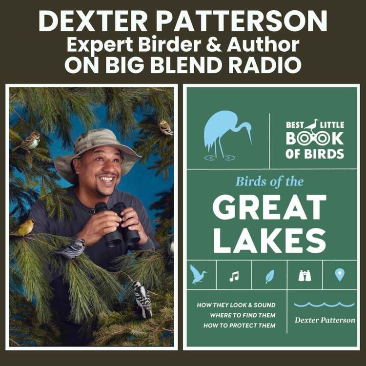 cover art for Birds of the Great Lakes with Dexter Patterson