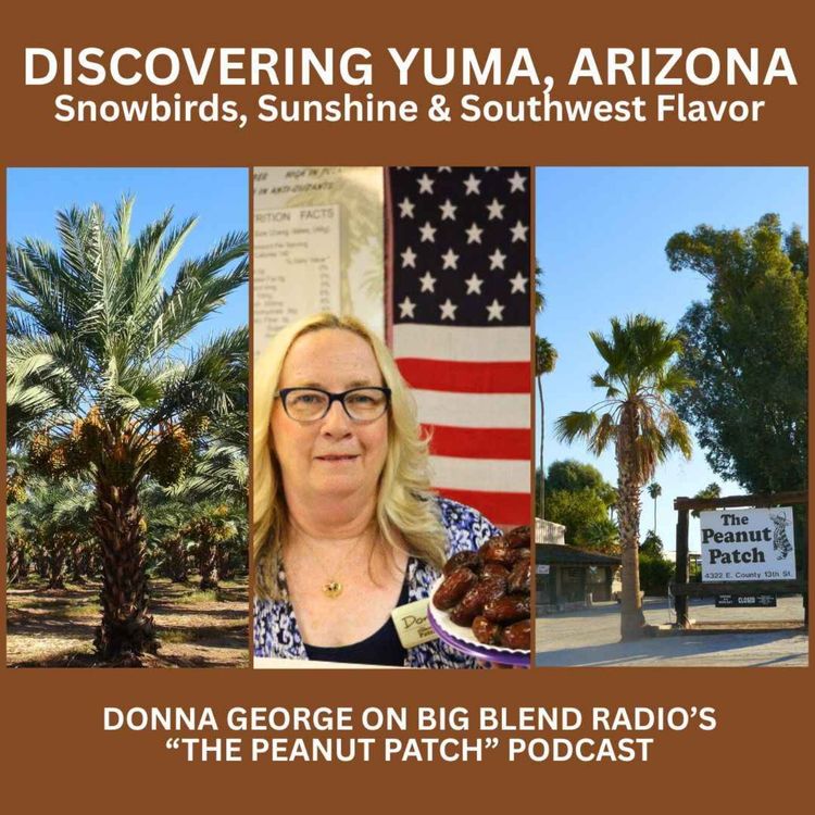 cover art for Discovering Yuma, Arizona: Snowbirds, Sunshine & Southwest Flavor