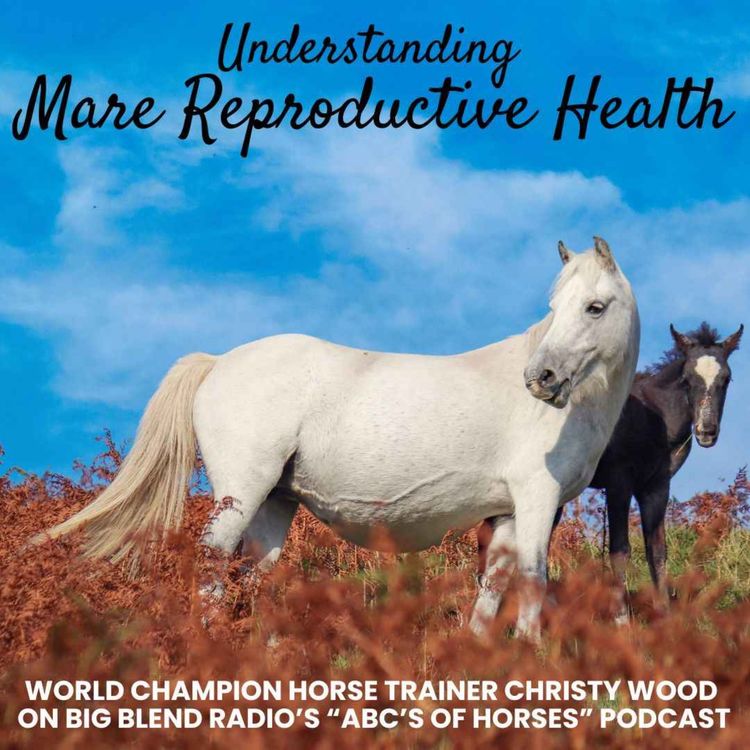 cover art for Understanding Mare Reproductive Health