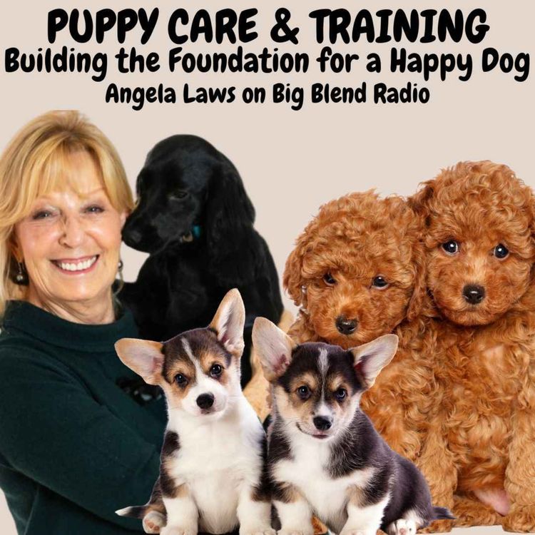 cover art for Puppy Care & Training