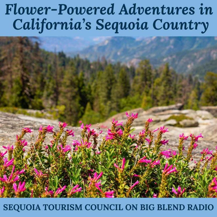 cover art for Spring Flower-Powered Adventures in California’s Sequoia Country