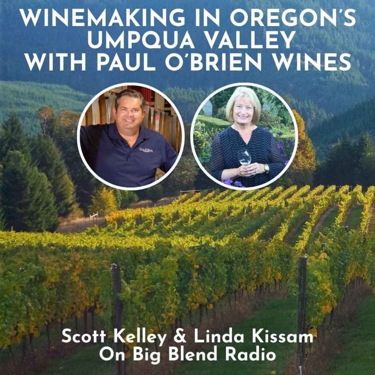 cover art for Winemaking in Oregon’s Umpqua Valley with Paul O’Brien Wines