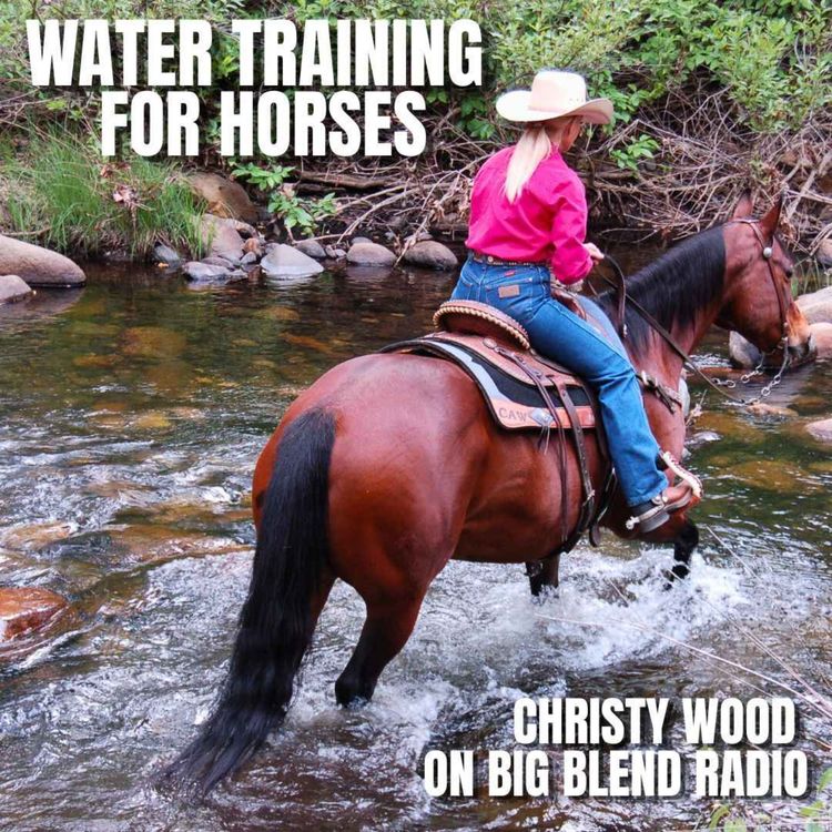 cover art for Water Training for Horses: Safety and Trail Riding Skills
