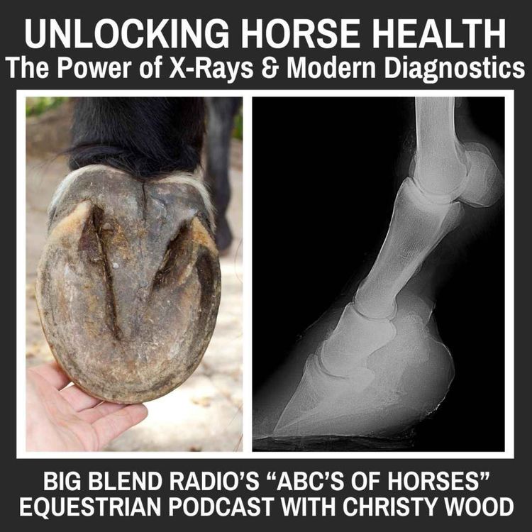 cover art for Unlocking Horse Health: The Power of X-Rays and Modern Diagnostics