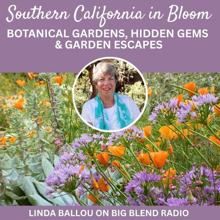 cover art for Southern California in Bloom: Botanical Gardens, Hidden Gems & Garden Escapes