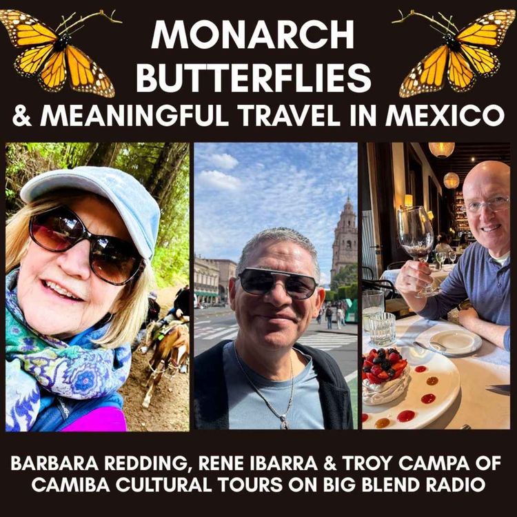 cover art for Monarch Butterflies & Meaningful Travel in Mexico with Camiba Cultural Tours