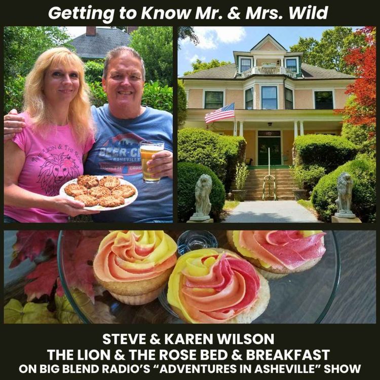 cover art for Getting to Know Mr. & Mrs. Wild