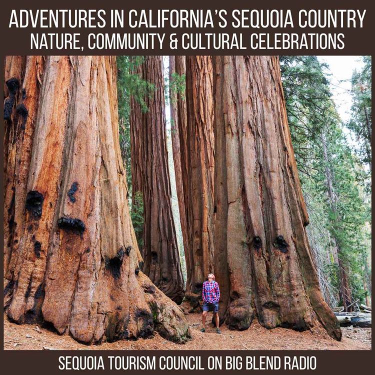 cover art for Adventures in California's Sequoia Country  