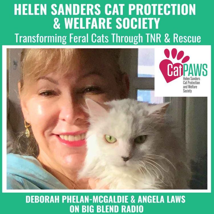 cover art for Helen Sanders Cat Protection & Welfare Society