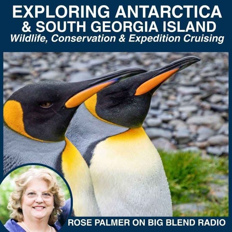 cover art for Exploring Antarctica & South Georgia Island