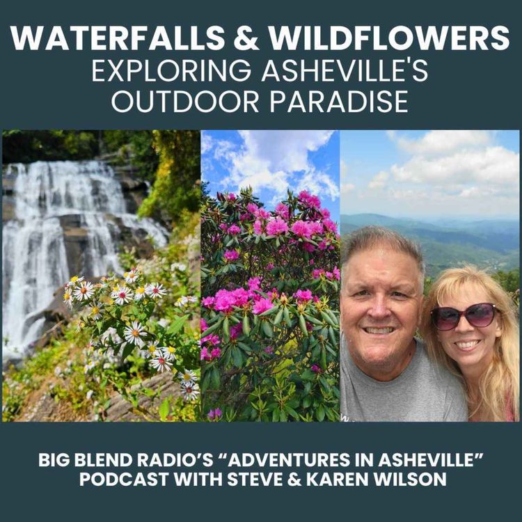 cover art for Waterfalls, Wildflowers & Wonders