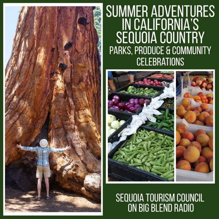 cover art for Summer Adventures in California’s Sequoia Country