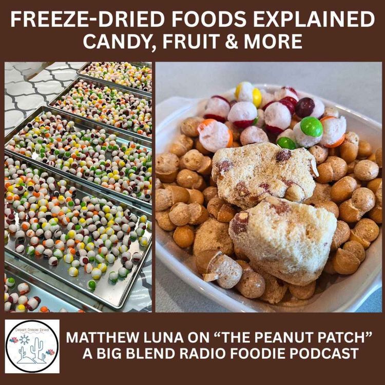 cover art for Freeze Dried Foods Explained