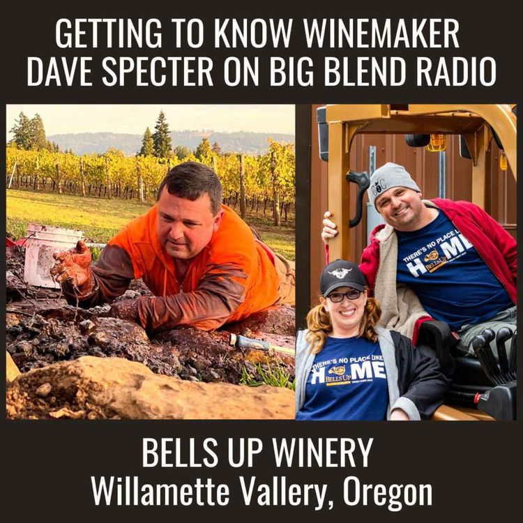 cover art for Getting to Know Winemaker Dave Specter